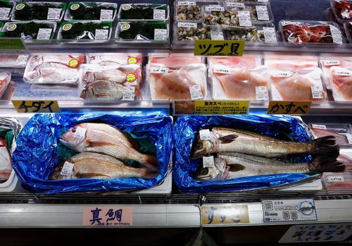 日媒 中国8月日本水产品进口额同比减少67.6 ,日本渔业受打击
