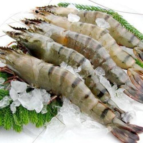 海产品;带鱼;巴浪鱼等鱼类及各类蔬菜;鱿鱼;虾